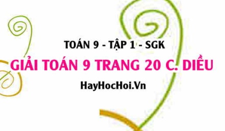 Giải Toán 9 trang 20 tập 1 Cánh Diều